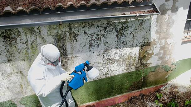 Top rated local Attic Mold Removal specialists in Fishertown, PA